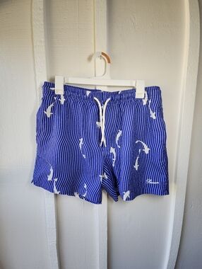 Pacsun Koi Striped 4.5" Swim Trunks Blue & White Strippes Size Medium